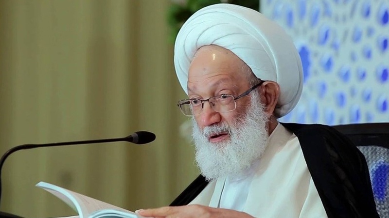 ایران کے اقدامات پورے عالم اسلام کے لئے موثر