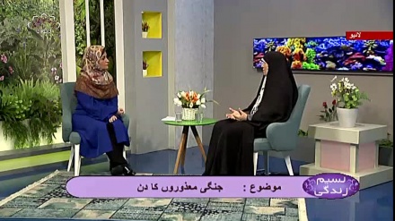 نسیم زندگی - جنگی معذوروں کا دن