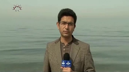 لبنانی تیل پر صیہونی لٹیروں کی نظر