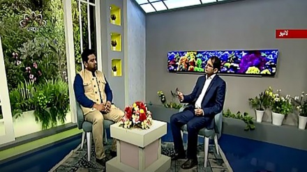 نسیم زندگی - پیشہ اور صحت