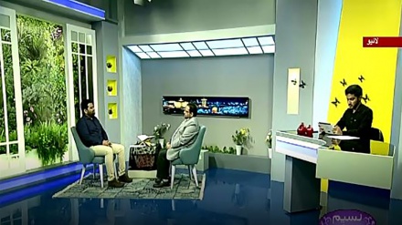 نسیم زندگی - دانشوروں کے نظر میں شب قدر کی فضیلت