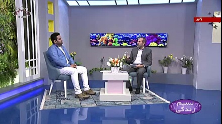 نسیم زندگی - ٹیچرز ڈے