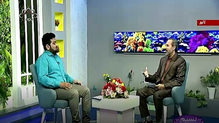 نسیم زندگی - اسلام کی نگاه میں دوستی کا معیار