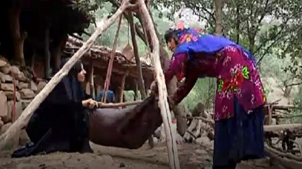 Îranger - 2019-05-17