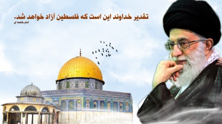 آزادیِ فلسطین، عالمِ اسلام کی مشکلات کا حل