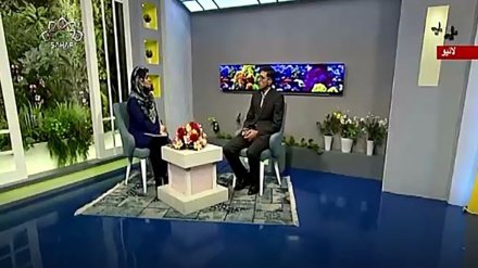 نسیم زندگی- ماه مبار رمضان میں کیا کهائیں کیا پیئیں