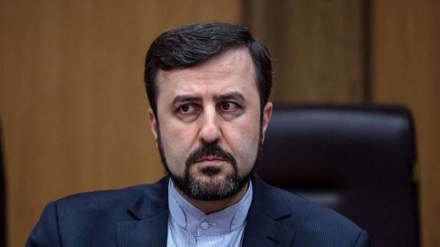 دنیا کے مسائل و مشکلات کا باعث امریکہ ہے: ایران