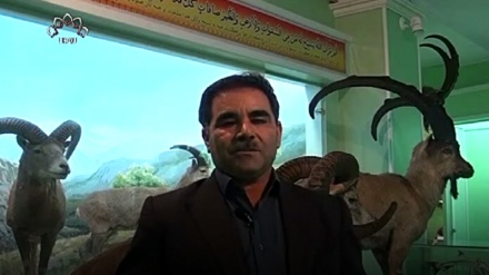دستاویزی پروگرام - کردستان کے جانور