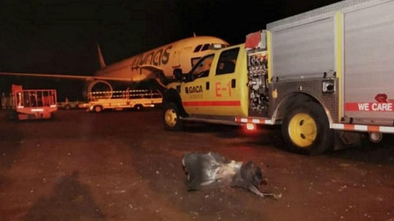 سعودی عرب کے جیزان ہوائی اڈے پر یمنی فوج کا ڈرون حملہ 