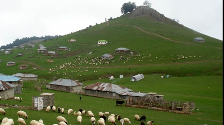  ئەرەسباران - 15-06-2019