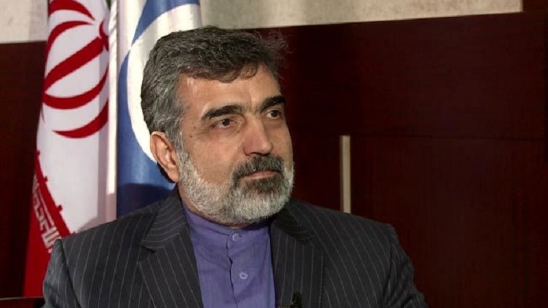 AEBA-nın sualları ciddi faktlar və əsaslara söykənməlidir