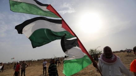 غزہ کے عالمی دن کی مناسبت سے خصوصی پروگرام