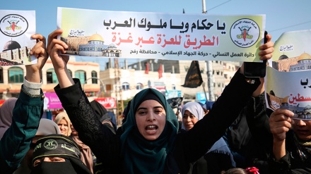 Fələstinlilərin Bəhreyn iclasına qarşı aksiyası