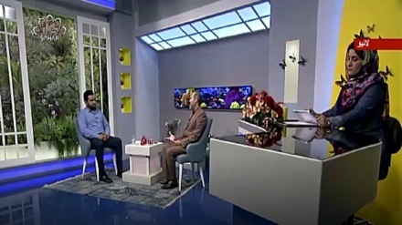 نسیم زندگی - مخلوق خدا کا شکریہ اداکرنا