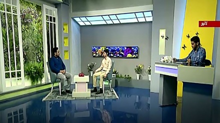 نسیم زندگی - روایتی طب اور کینسر