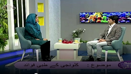 نسیم زندگی - کلونجی کے طبی فوائد