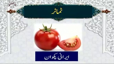 ایرانی پکوان سےمتعلق پروگرام، مزه - ٹماٹر