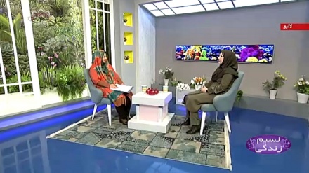 نسیم زندگی - سوشل میڈیا اور ذرائع  ابلاغ  کے بچوں پر منفی اثرات