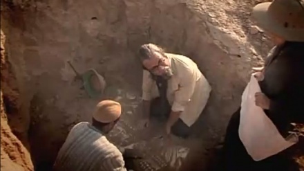  پەیجۆرانی پارسه - 05-07-2019