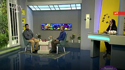 نسیم زندگی - کم فروشی