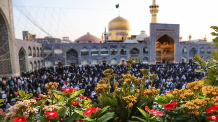 Pîrozbahiya salvegera jidayîkbûna Îmamê Heştan ê Şîeyên Cîhanê