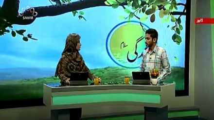 سماجی پروگرام - زندگی سلام 