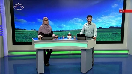 سماجی پروگرام - زندگی سلام 