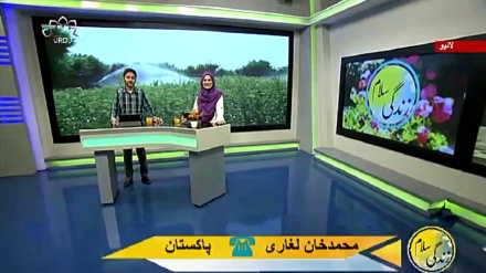 سماجی پروگرام - زندگی سلام 