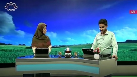 سماجی پروگرام - زندگی سلام 