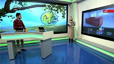 سماجی پروگرام - زندگی سلام 