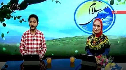 سماجی پروگرام - زندگی سلام 