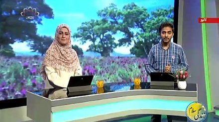 سماجی پروگرام ۔ زندگی سلام