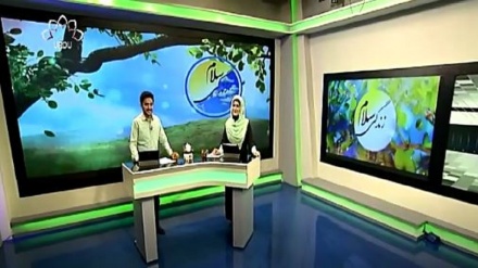 سماجی پروگرام - زندگی سلام 