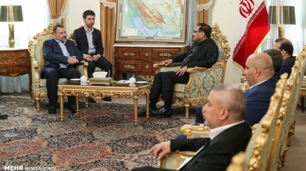  شەمخانی : داکۆکی ئێران لە خۆڕاگریی فەلەستین هەتا سەرکەوتنی بەیەگجاریی بەردەوامە