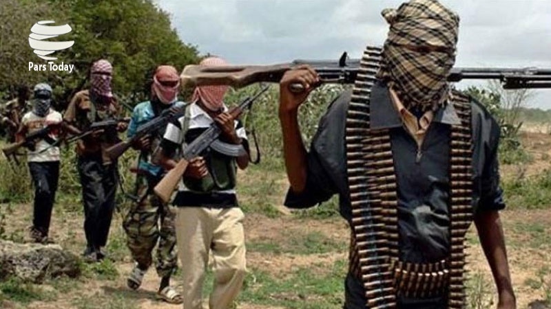 نائیجیریا میں مسلح افرادکا حملہ30 افراد جاں بحق