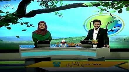 سماجی پروگرام - زندگی سلام 