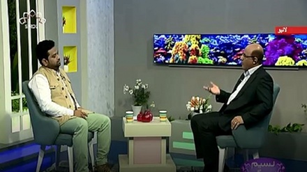 نسیم زندگی - کارونری اینجیوپلاسٹی