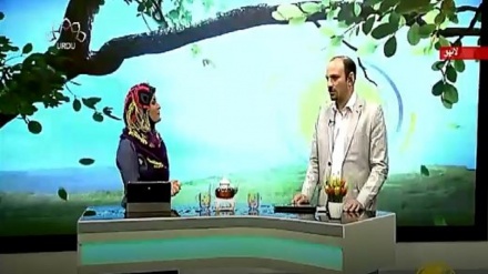 سماجی پروگرام - زندگی سلام 