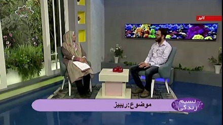 نسیم زندگی - ریبیز