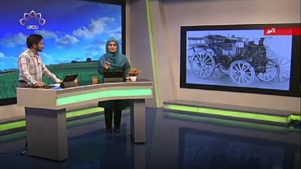 سماجی پروگرام - زندگی سلام 