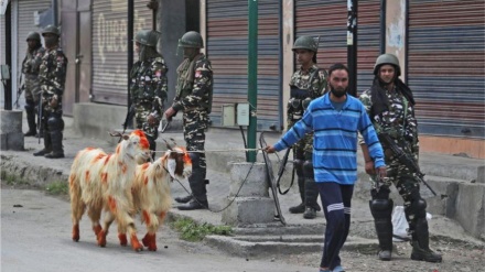Indija zabranjuje klanje kurbana muslimanima u Kašmiru