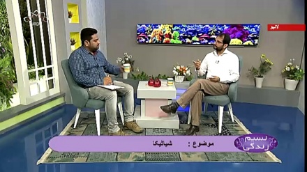 نسیم زندگی -  شیاٹیکا