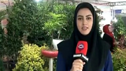 پیشانگای گوڵ و گیا له شاری سنه 
