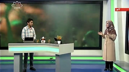 سماجی پروگرام ۔ زندگی سلام