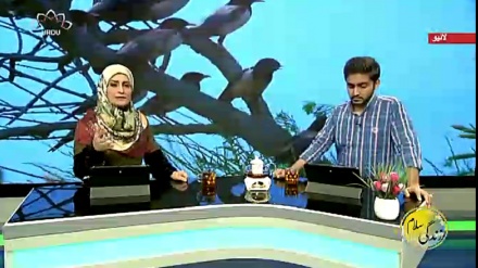 سماجی پروگرام ۔ زندگی سلام