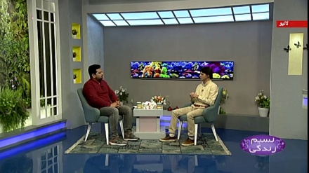 نسیم زندگی - ایم  اس کی بیماری