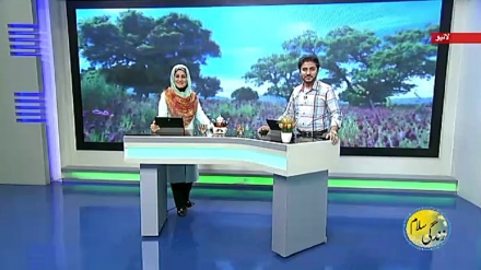 سماجی پروگرام ۔ زندگی سلام