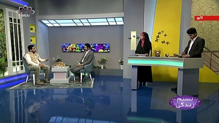 نسیم زندگی - سینگوں پر کندہ کاری کا فن