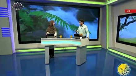 سماجی پروگرام ۔ زندگی سلام