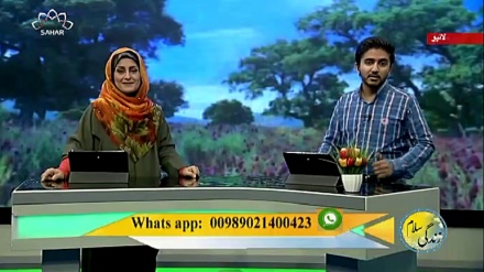 سماجی پروگرام ۔ زندگی سلام